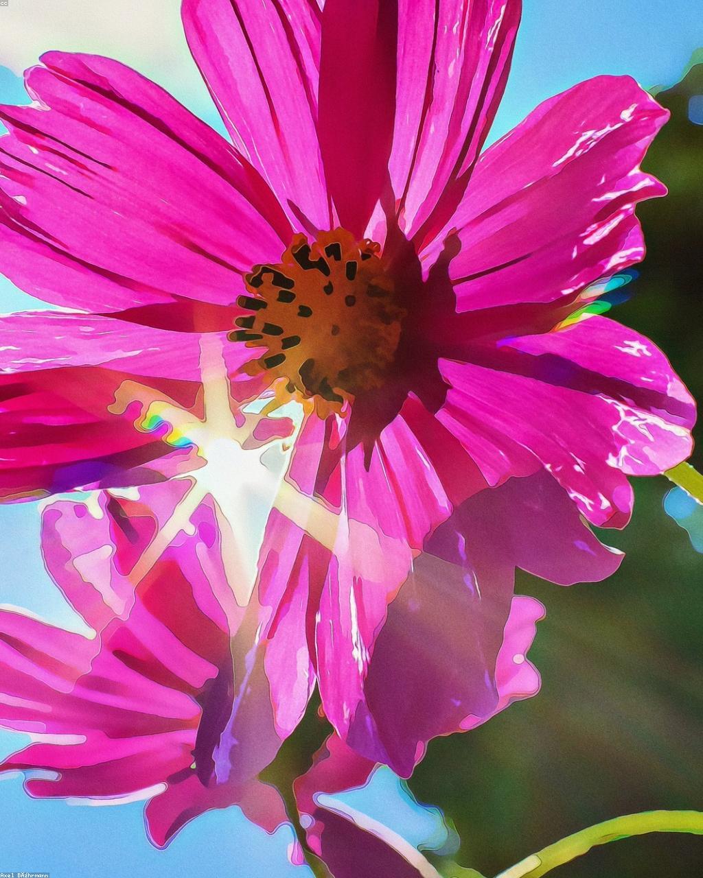 Bright & Cheerful